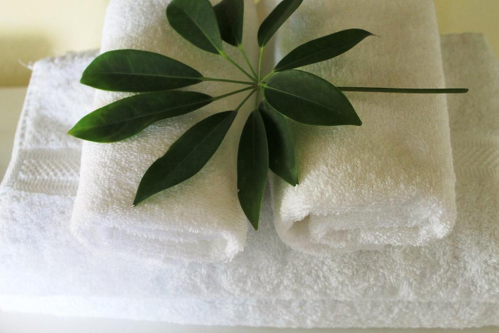 Hotel Boutique Valverde Cumbres De La Escalon Mexicanos Zewnętrze zdjęcie